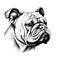 Minimalist Bulldog Head Sketch Illustration In Multilayered Realism Style