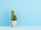 Minimalist cactus background for summer mood design.