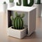 Minimalist Cactus Decoration: A Pot Plant Inside a Gift Box for Modern Home or Home Office Desk. Generative AI