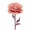Minimalist Carnation Image With Rose On White Background