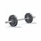 Minimalist Cartoon Barbell: Precisionist Style Still Life