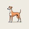 Minimalist Cartoon Italian Greyhound: Clean And Simple Design