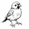 Minimalist Cartoon Sparrow Coloring Page For Children