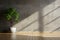 Minimalist charm A dark room, potted plant, concrete wall, wooden floor