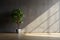 Minimalist charm A dark room, potted plant, concrete wall, wooden floor