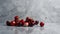 Minimalist Cherry Arrangement On Polished Concrete