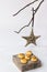 Minimalist Christmas and New Year decoration, rattan star hanging on a dry tree branch, coconut macaroons on a wood box
