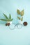 Minimalist Concept. Aviator round glasses Dried Leaves Pine Blossoms on pastel light blue background