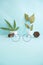 Minimalist Concept. Aviator round glasses Dried Leaves Pine Blossoms on pastel light blue background