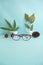 Minimalist Concept. Cat\'s Eye Glasses Dried Leaves Pine Flowers on a pastel light blue background