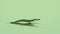 Minimalist Crocodile Illustration On Green Background