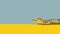 Minimalist Crocodile On Yellow And Blue Background