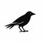 Minimalist Crow Icon On White Background