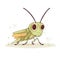 Minimalist Cute Grasshopper Drawing on White Background for Invitations and Posters.