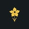 Minimalist Daffodil Plant Vector Logo - Aesthetic Movement Style