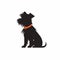 Minimalist Dog Silhouette With Orange Collar - Detailed Character Design