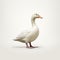 Minimalist Duck Illustration With Hyper-realistic Details