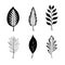 Minimalist elegance: hand-drawn monochromatic plant leafs