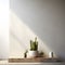 Minimalist Elegance Still Life of Micro Cement Wall and Cactus in a High-End Environment