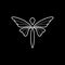 Minimalist elegant Butterfly logo design with line art style