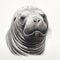 Minimalist Elephant Seal Head Silhouette Drawing In A Single Stroke