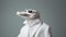 Minimalist Fashion Portrait: Crocodile Suiting Up In A Hyperrealistic Style