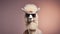 Minimalist Fashion Portrait Of A Llama Wearing Sunglasses