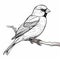 Minimalist Finch Drawing In Detailed Monotone Cartoon Style