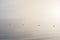 Minimalist fine art image of buoys at sea during foggy morning