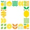 Minimalist flat vector frame, lemon fruit icon symbol. Simple geometric illustration of citrus, oranges, and leaves.