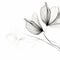 Minimalist Floral Black And White Drawing: Delicate Curves And Translucent Planes