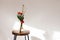 Minimalist flower arrangement with glass vase. Beautiful bouquet of red tulips and branches with buds on wooden round chair