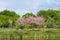 Minimalist garden landscape with large trees with green leaves and pink decorative flowers  by the lake in a sunny spring day
