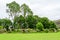 Minimalist garden landscape with trees, bushes and different plants in a cloudy day in Scotland, United Kingdom, typical British c