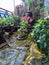 minimalist garden with some bonsai after rain