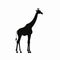 Minimalist Giraffe Silhouette On White Background