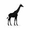 Minimalist Giraffe Silhouette On White Background
