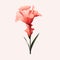 Minimalist Gladiolus Image With Rose On White Background