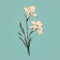Minimalist Gladiolus Line Art On Turquoise Background