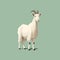 Minimalist Goat Illustration In Edward Gorey And Oliver Jeffers Style On White Background