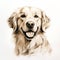 Minimalist Golden Retriever Portrait Drawing Illustration