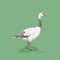 Minimalist Goose Sketch In Green And White With Thick Lines In 8k Quality