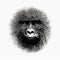 Minimalist Gorilla Head: Abstract Wildlife Art With Optical Effects