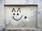 Minimalist Graffiti Art of Smiling Cat Face