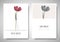 Minimalist greeting/invitation card template design, red tulip flower in simple line vase on white background