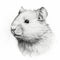 Minimalist Hamster Head Silhouette Sketch: Single Pencil Stroke Artwork