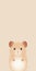Minimalist Hamster Illustration For Mobile Phone Lock Screen