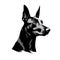 Minimalist Hand-drawn Doberman Pinscher Head Vector Illustration