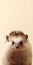 Minimalist Hedgehog Portrait: Beige Background For Lock Screen