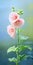 Minimalist Hollyhock Flower Mobile Wallpaper